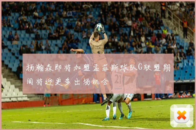 杨瀚森即将加盟孟菲斯球队G联盟期间将迎更多出场机会