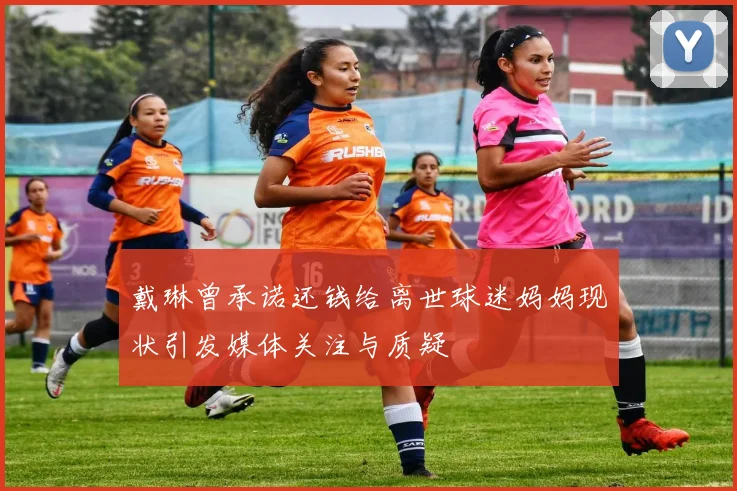 戴琳曾承诺还钱给离世球迷妈妈现状引发媒体关注与质疑
